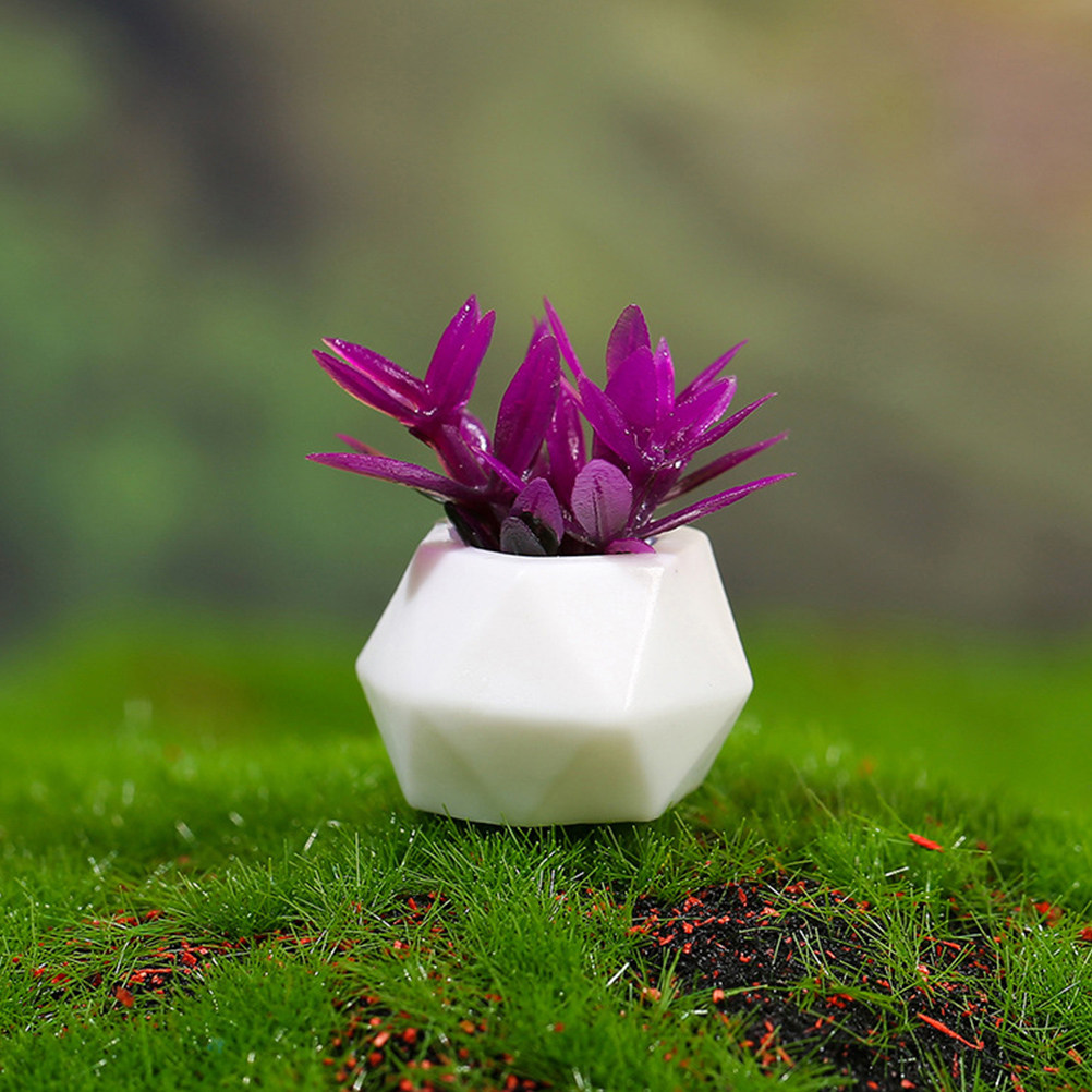 8Pcs Mini Bonsai Ornament Resi - Bonsai Garden Europe recensie en prijs