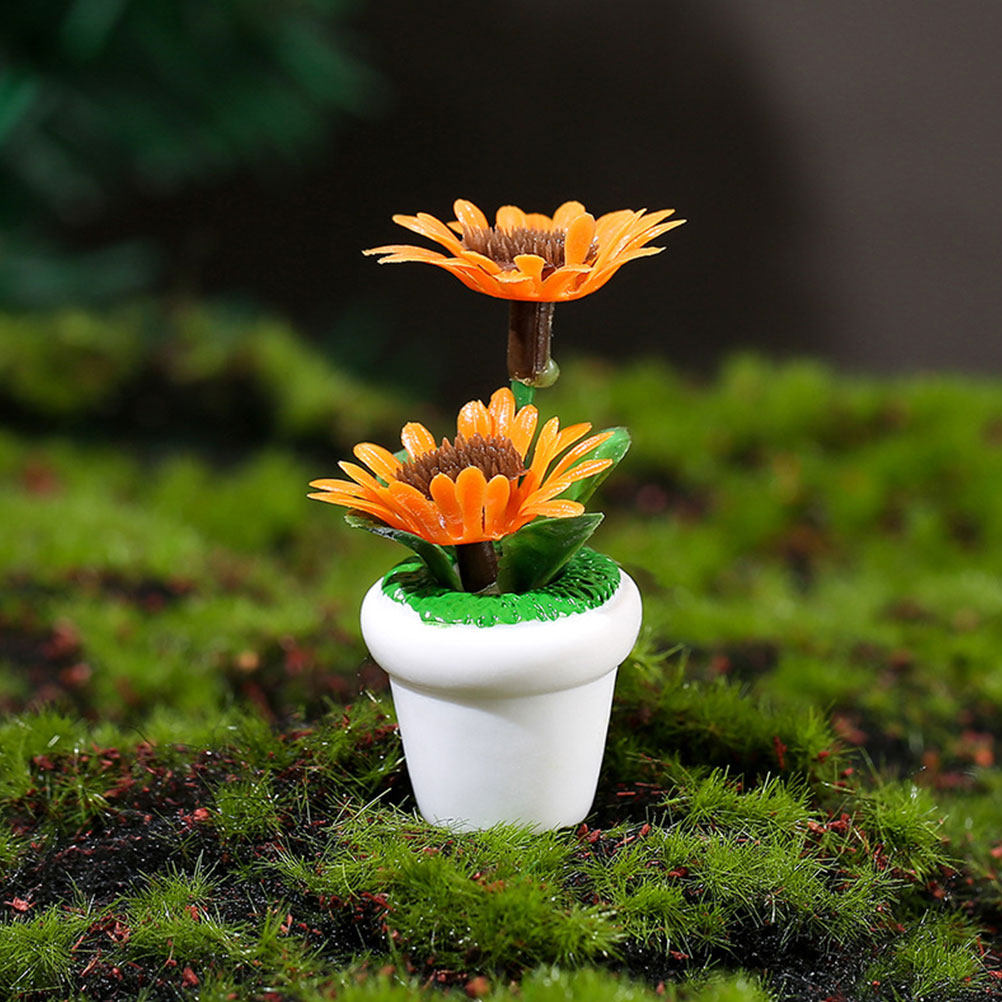 4Pcs Mini Bonsai Plant Potted  - Bonsai Garden Europe recensie en prijs