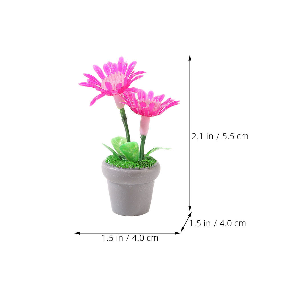 4Pcs Mini Bonsai Plant Potted  - Bonsai Garden Europe recensie en prijs