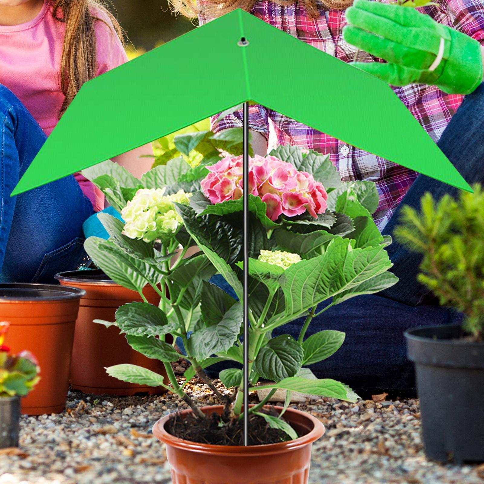Plant Umbrella Anti-UV Heat Re - Bonsai Garden And Cafe recensie en prijs