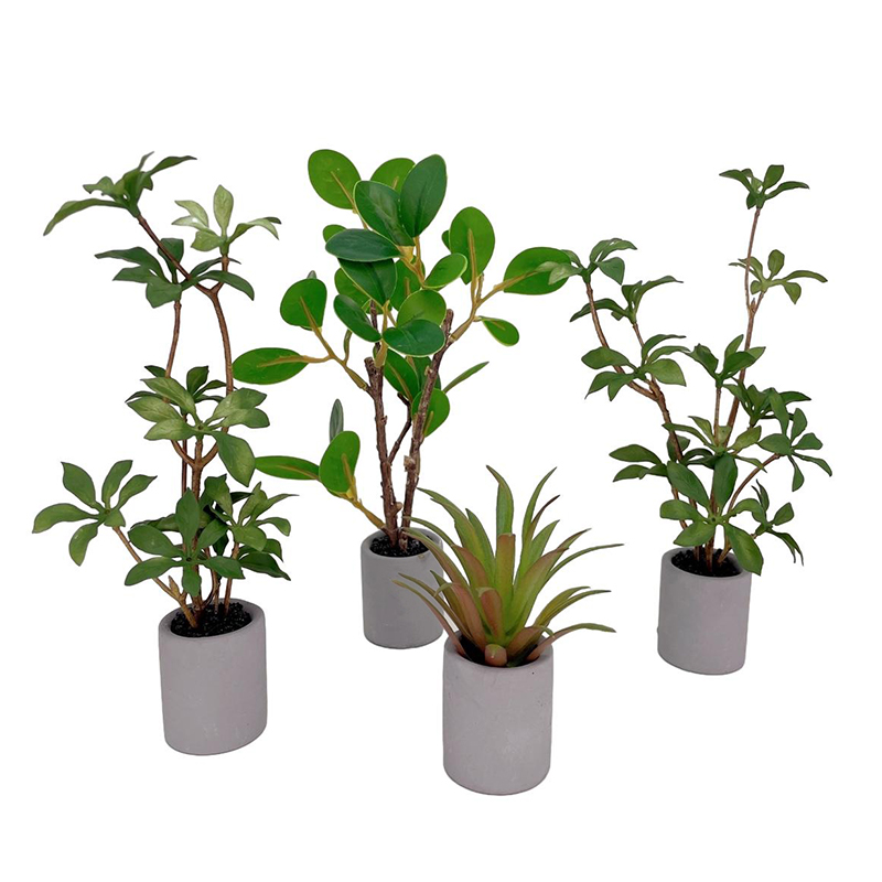1:6 Dollhouse Miniature Potted - Bonsai Garden Europe recensie en prijs