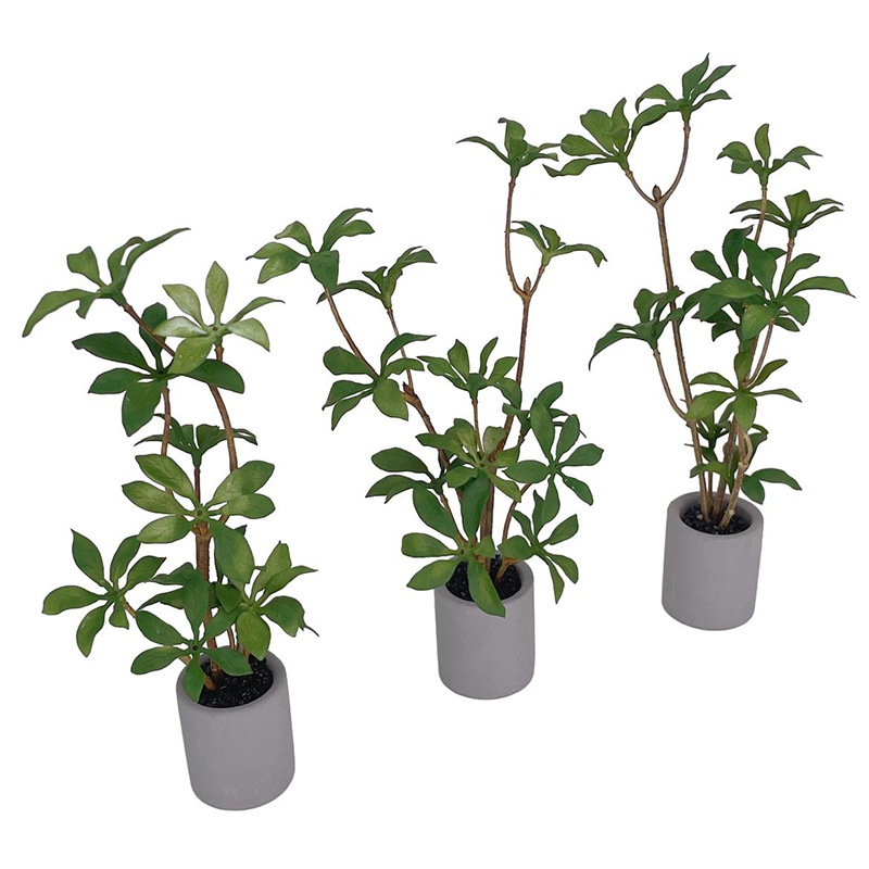 1:6 Dollhouse Miniature Potted - Bonsai Garden Europe recensie en prijs