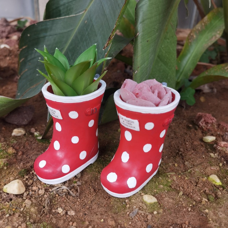 Creative Resin Rain Shoes Shap - Bonsai Garden Europe recensie en prijs