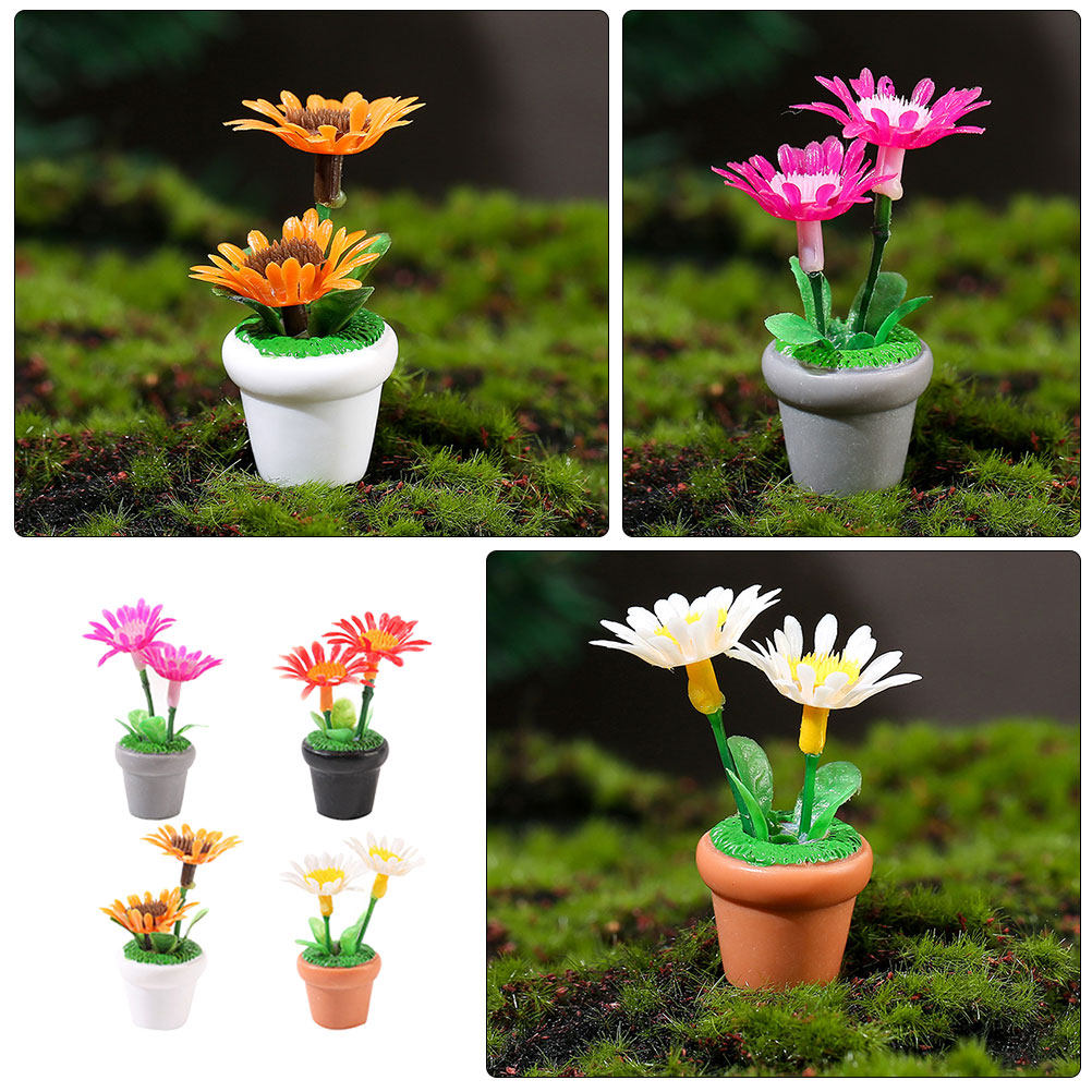 4Pcs Miniature Bonsai Plant Do - Bonsai Garden Europe recensie en prijs