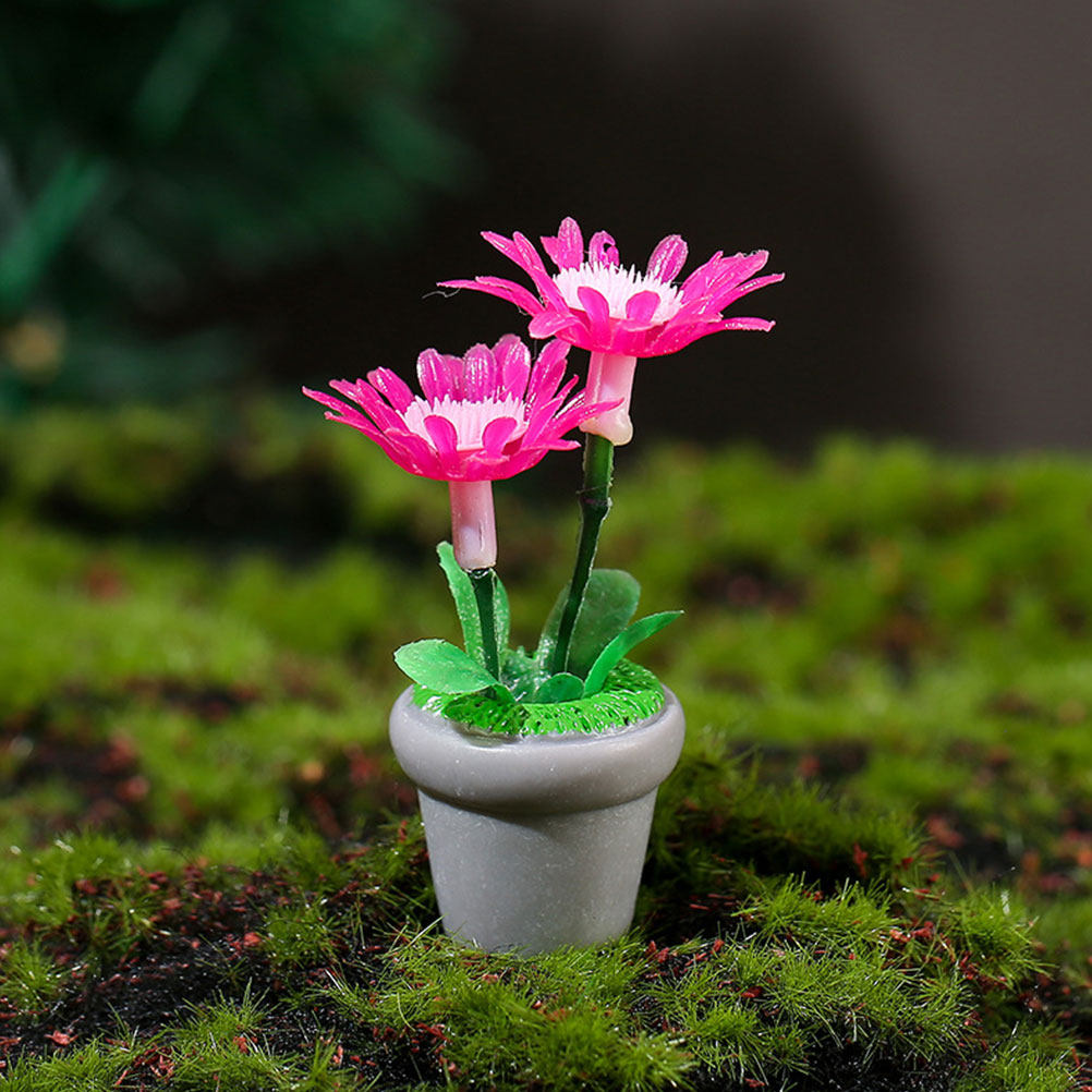 4Pcs Miniature Bonsai Plant Do - Bonsai Garden Europe recensie en prijs