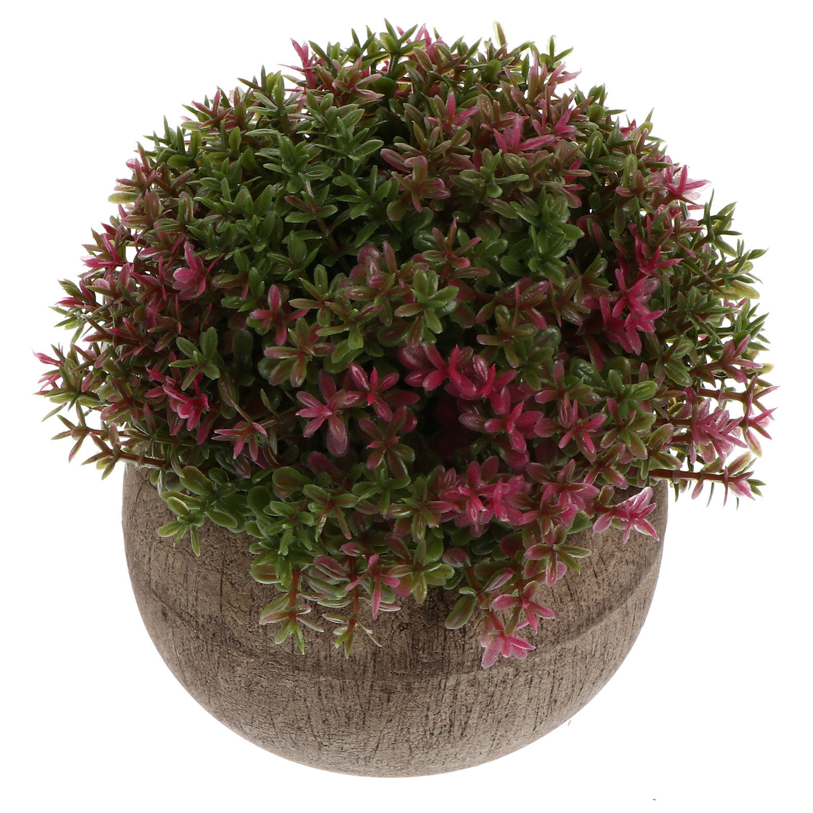 Mini Plastic Bonsai Realistic  - Bonsai Garden And Cafe recensie en prijs