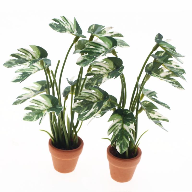 1/12 Scale Monstera Green Plan - Bonsai Garden Europe recensie en prijs