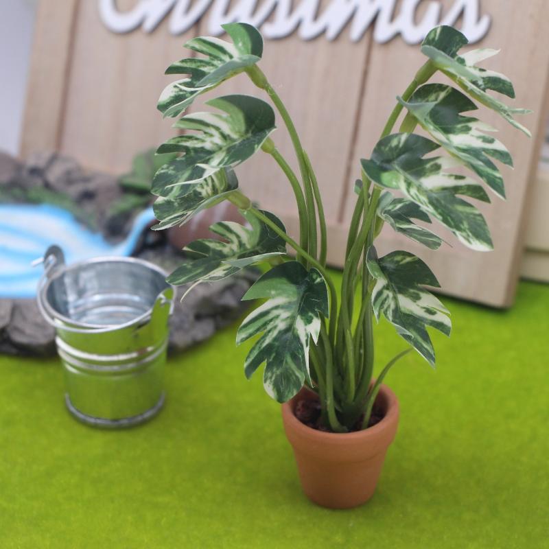 1/12 Scale Monstera Green Plan - Bonsai Garden Europe recensie en prijs