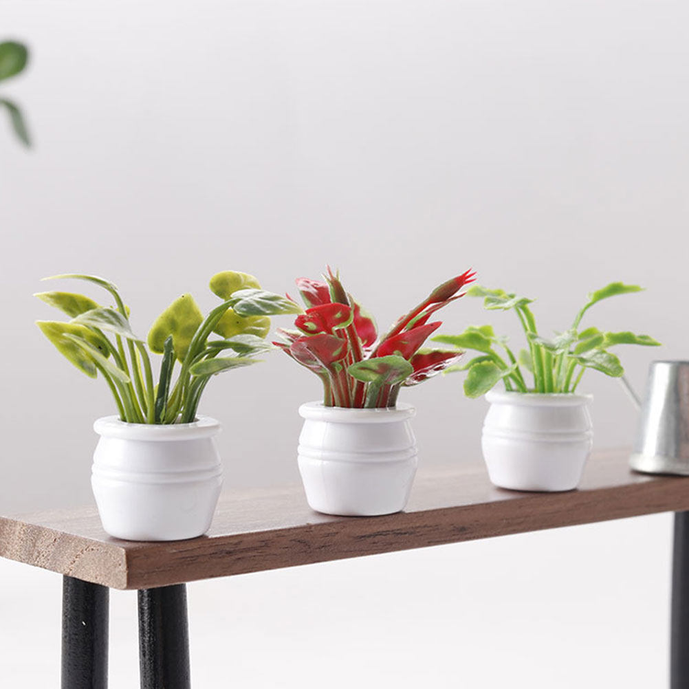 3Pcs Miniature Bonsai Tiny Pot - Bonsai Garden Europe recensie en prijs