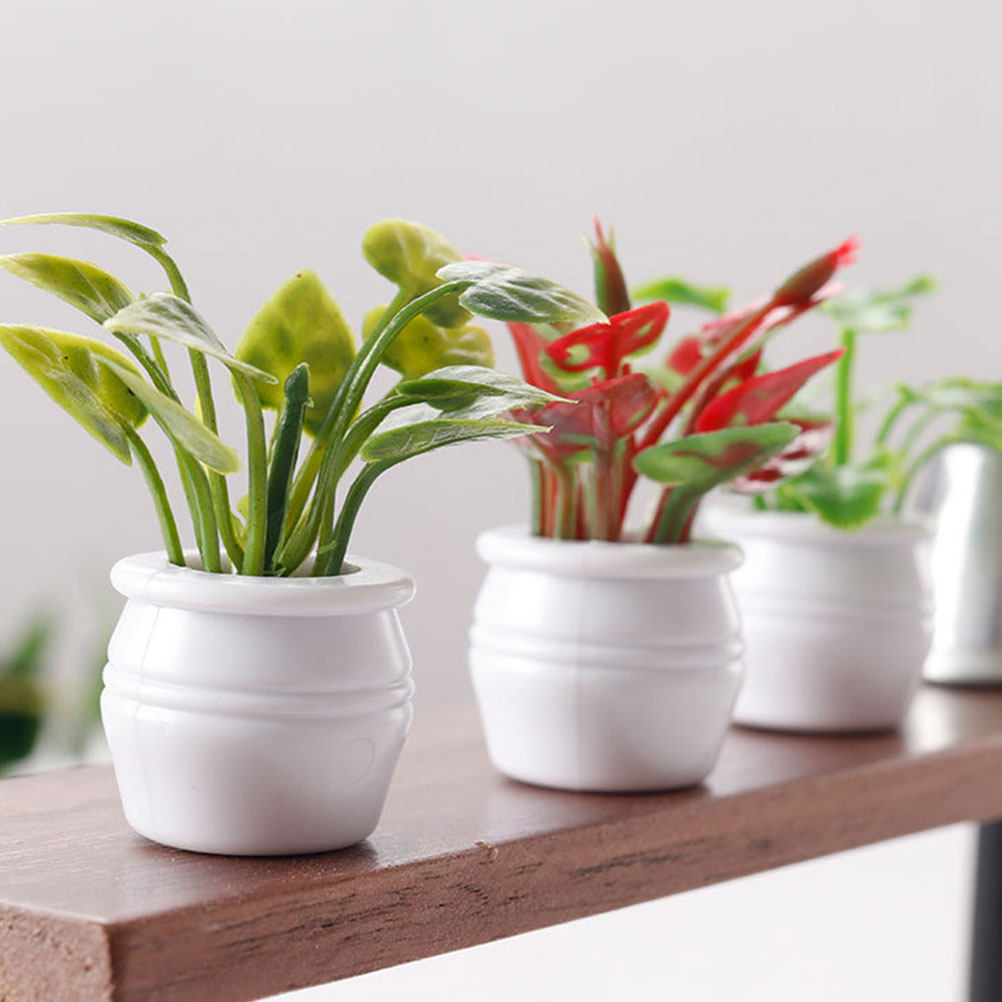 3Pcs Miniature Bonsai Tiny Pot - Bonsai Garden Europe recensie en prijs