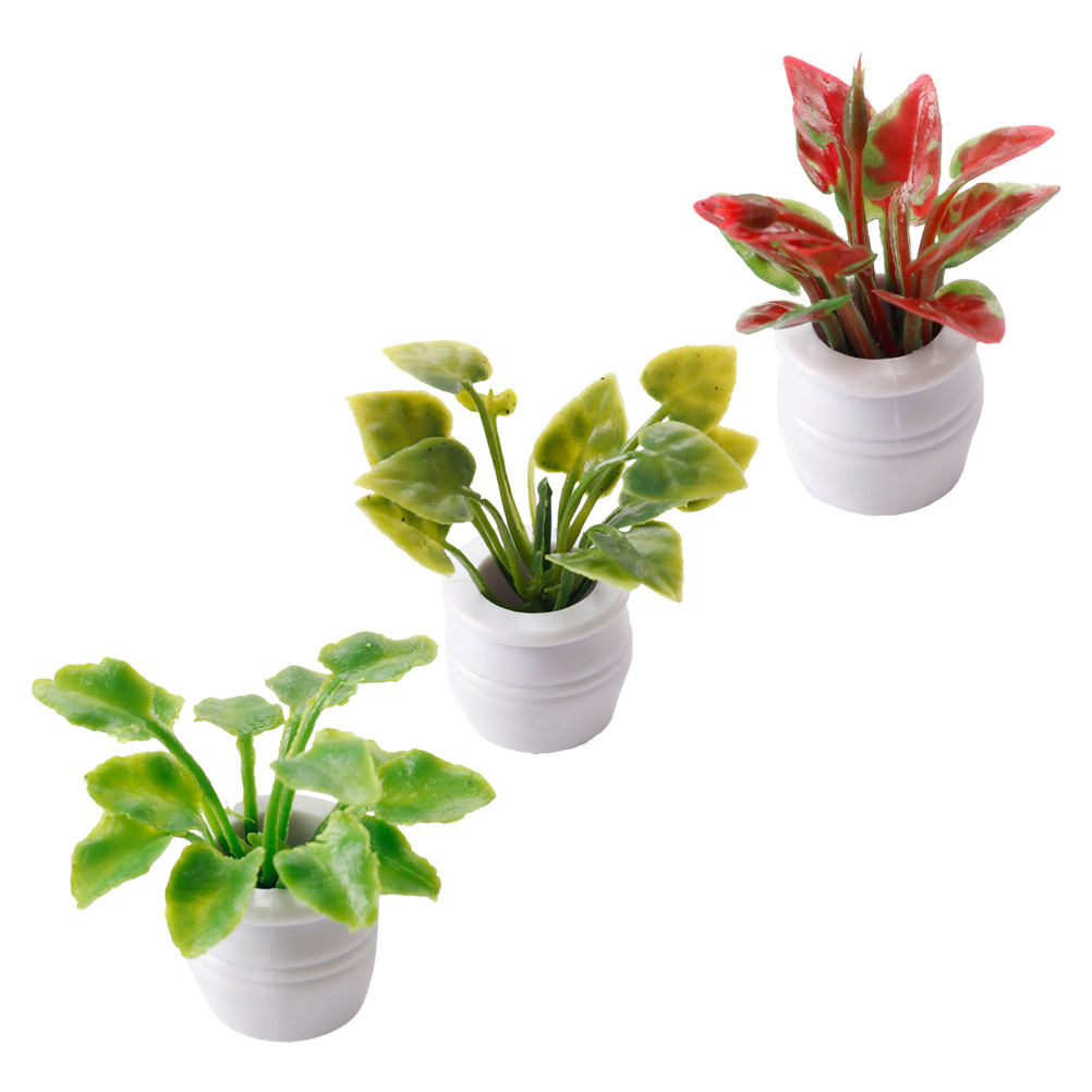 3Pcs Miniature Bonsai Tiny Pot - Bonsai Garden Europe recensie en prijs
