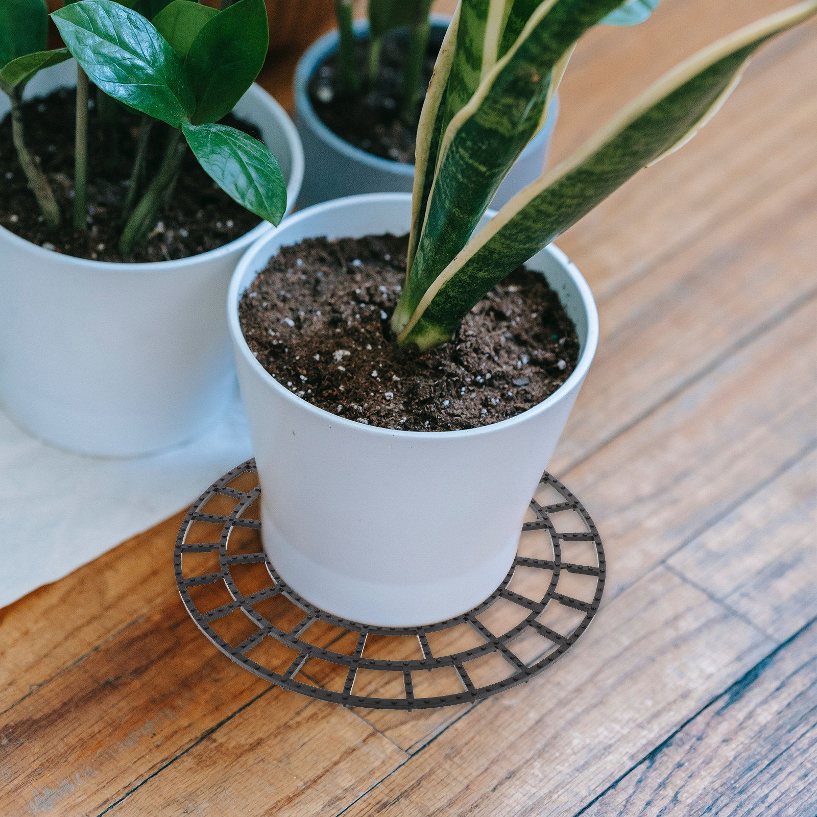 6Pcs Flowerpot Bottom Pad Brea - Bonsai Garden And Cafe recensie en prijs