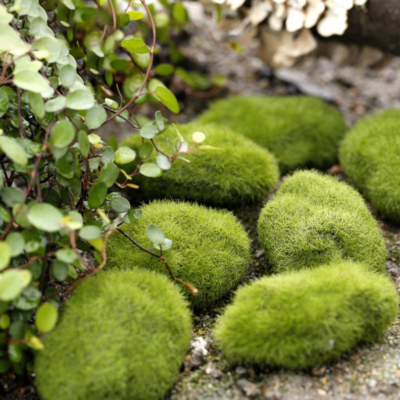 4Pcs/set Dollhouse Micro Lands - Bonsai Garden Europe recensie en prijs