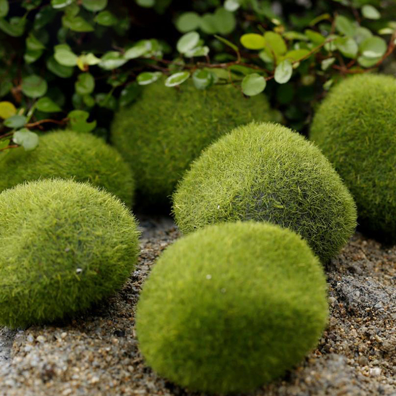 4Pcs/set Dollhouse Micro Lands - Bonsai Garden Europe recensie en prijs